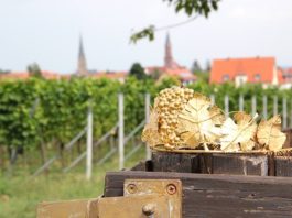 Krone der Edenkobener Weinprinzessin (Foto: Rathaus Edenkoben)