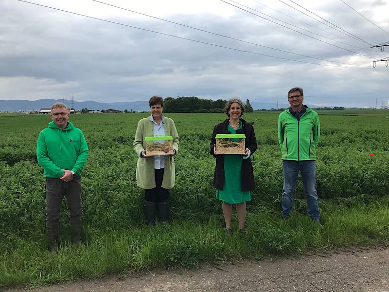 Dr. Weinhold, Regierungspräsidentin Sylivia M. Felder, Bürgermeisterin Prof. Dr. Diana Pretzell und Landwirt Herr Seitz (Foto: Stadt Mannheim)