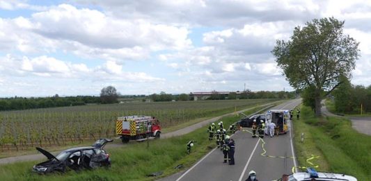 Die Unfallstelle (Foto: Feuerwehr Neustadt)