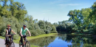 Radler auf dem Rheinradweg (Foto: Kilian Kunz)