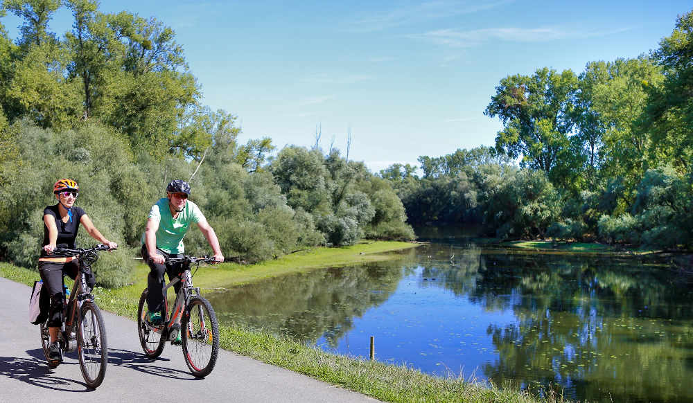 Radler auf dem Rheinradweg (Foto: Kilian Kunz)