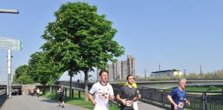 Läufer beim Mannheimer Brückenlauf (Foto: pix Sportfotos)