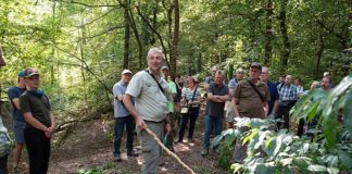 Veranstaltungsreihe „Frag den Förster“ (Foto: Landratsamt Rhein-Neckar-Kreis)