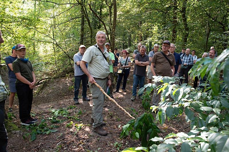 Veranstaltungsreihe „Frag den Förster“ (Foto: Landratsamt Rhein-Neckar-Kreis)