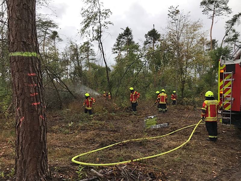 Waldbrände gilt es zu vermeiden. (Foto: Forstamt Landratsamt Karlsruhe)