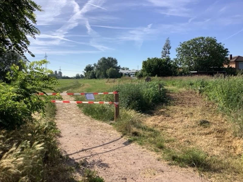 Der Weg wurde gesperrt (Foto: Stadtverwaltung Neustadt)