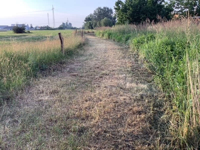 Neue Wegtrasse direkt am Bürgergraben (Foto: Stadtverwaltung Neustadt)