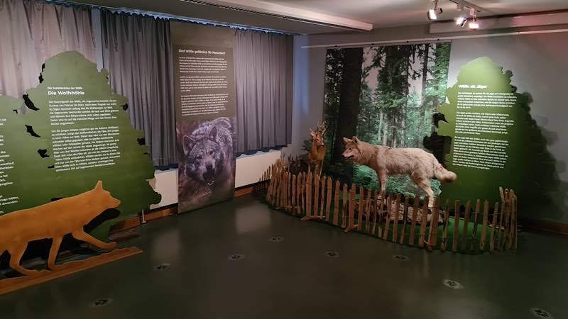 Sonderausstellung „Und wenn der Wolf kommt?“ (Foto: Naturschutzzentrum Karlsruhe-Rappenwört)