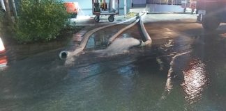 Ausgepumpter Keller (Foto: Feuerwehr Haßloch)