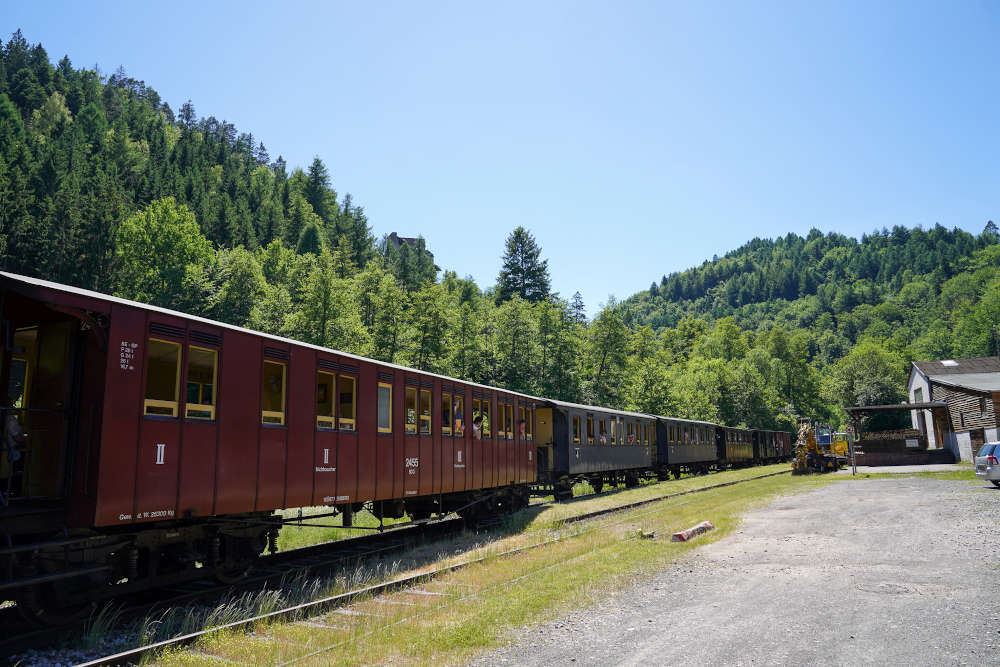 Kuckucksbähnel 2021 (Foto: Reinhard Schnell)
