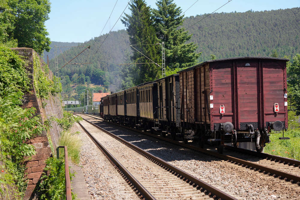 Kuckucksbähnel 2021 (Foto: Reinhard Schnell)