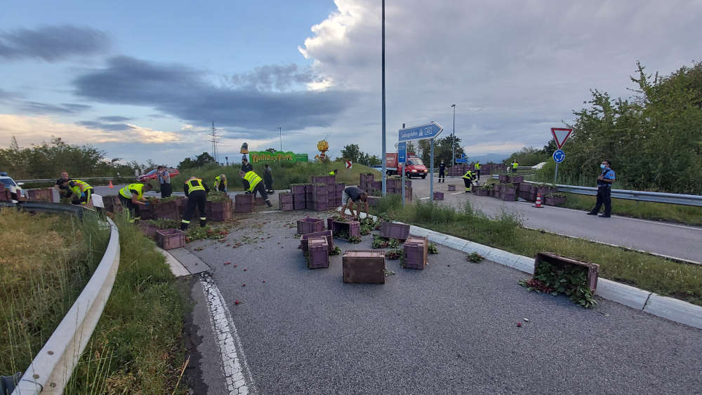 Die Radieschen wurden eingesammelt (Foto: Feuerwehr Haßloch)