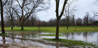 Klipfelsau-Wiese (Foto: Stadt Speyer)