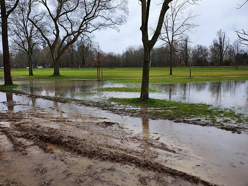 Klipfelsau-Wiese (Foto: Stadt Speyer)