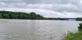 Rhein-Hochwasser (Foto: Feuerwehr Frankenthal)