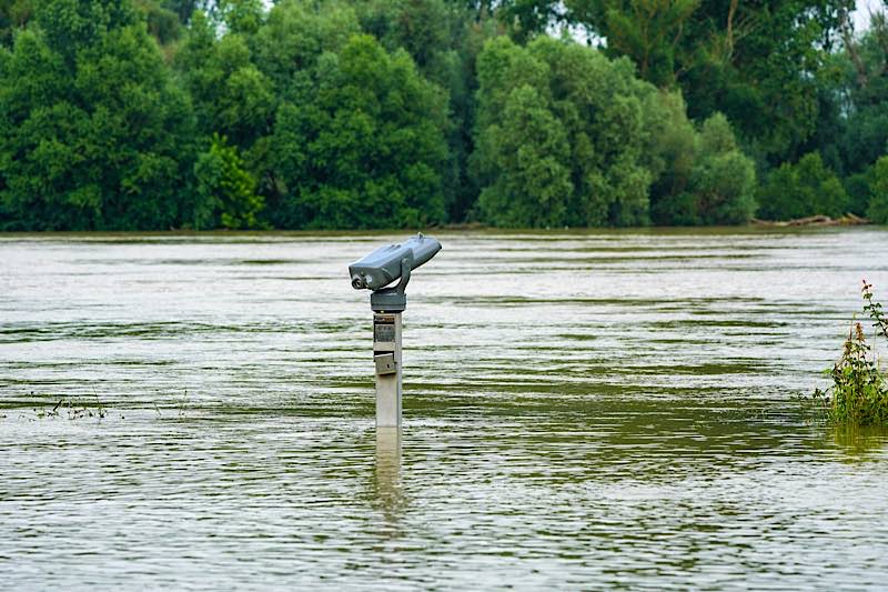 Rhein-Hochwasser bei Speyer (Foto: Holger Knecht)