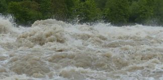 Symbolbild Hochwasser (Foto: Pixabay/Hans Braxmeier)