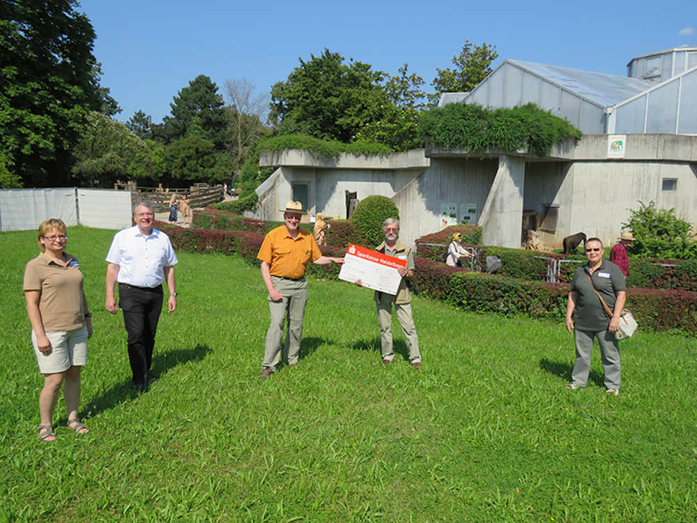 Vorstandsmitglieder und Beiräte des Vereins der Tiergartenfreunde Heidelberg überreichen Zoodirektor Dr. Wünnemann den Spendenscheck in Höhe von 15.000 Euro für die neue Gorilla-Anlage. (Foto: Zoo Heidelberg)