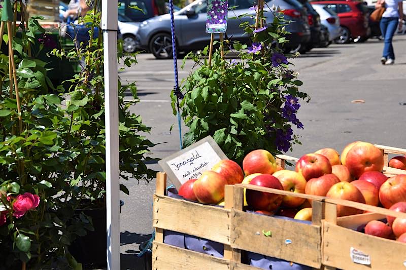 Der Landauer Wochenmarkt ist bei den Landauerinnen und Landauern sowie den Menschen aus der Region überaus beliebt. (Quelle: Stadt Landau)