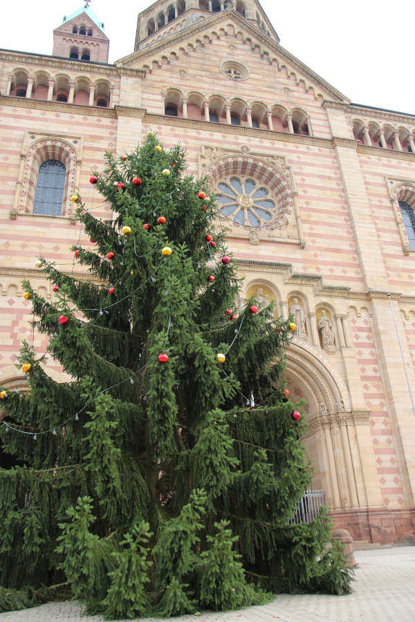 Weihnachtsbaum Domvorplatz (Foto: Stadt Speyer)