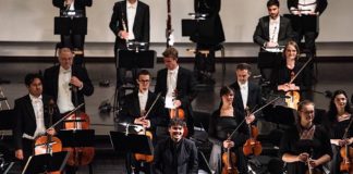 Philharmonisches Konzert, Philharmonisches Orchester Heidelberg mit Generalmusikdirektor Elias Grandy (Foto: Susanne Reichardt)