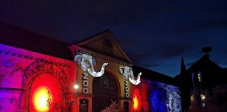 Vom 1. Oktober bis zum 28. November 2021 findet im Zoo Heidelberg das Heidelberger Zoo-Leuchten statt. (Foto: Zoo Heidelberg)