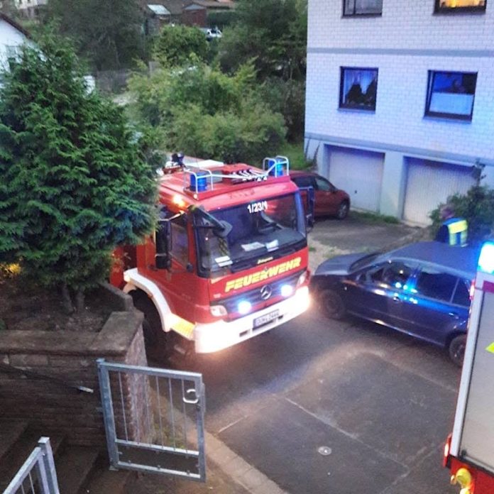 Feuerwehreinsatz in Harzofen (Foto: Presseteam der Feuerwehr VG Lambrecht)