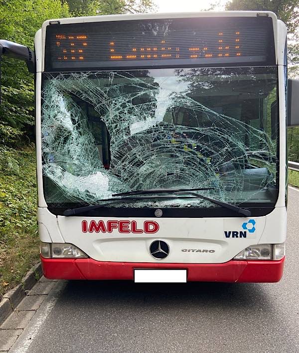 Der beschädigte Linienbus (Foto: Polizei RLP)