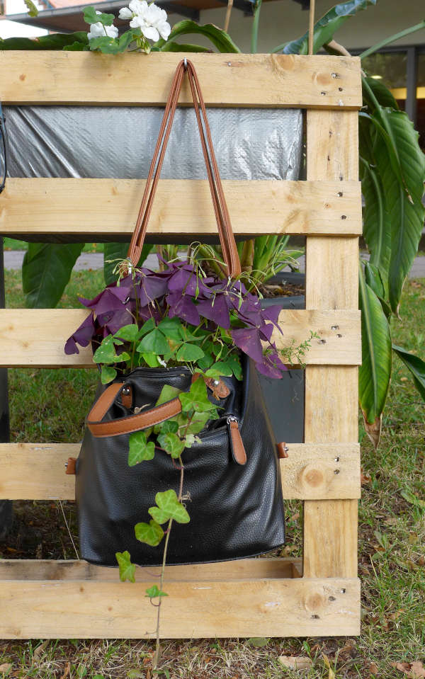 Auch eine alte Handtasche bietet eine tolle Pflanzmöglichkeit. (Foto: Pfalzmuseum für Naturkunde)