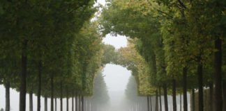 Herbst im Schlossgarten Schwetzingen (SSG Pressebild/Uschi Wetzel)