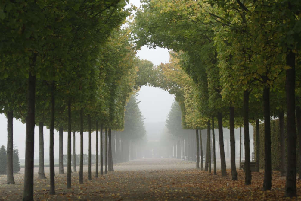 Herbst im Schlossgarten Schwetzingen (SSG Pressebild/Uschi Wetzel)