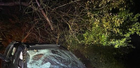 Die Verfolgungsfahrt endete an einer Brückenbegrenzung (Foto: Polizei RLP)