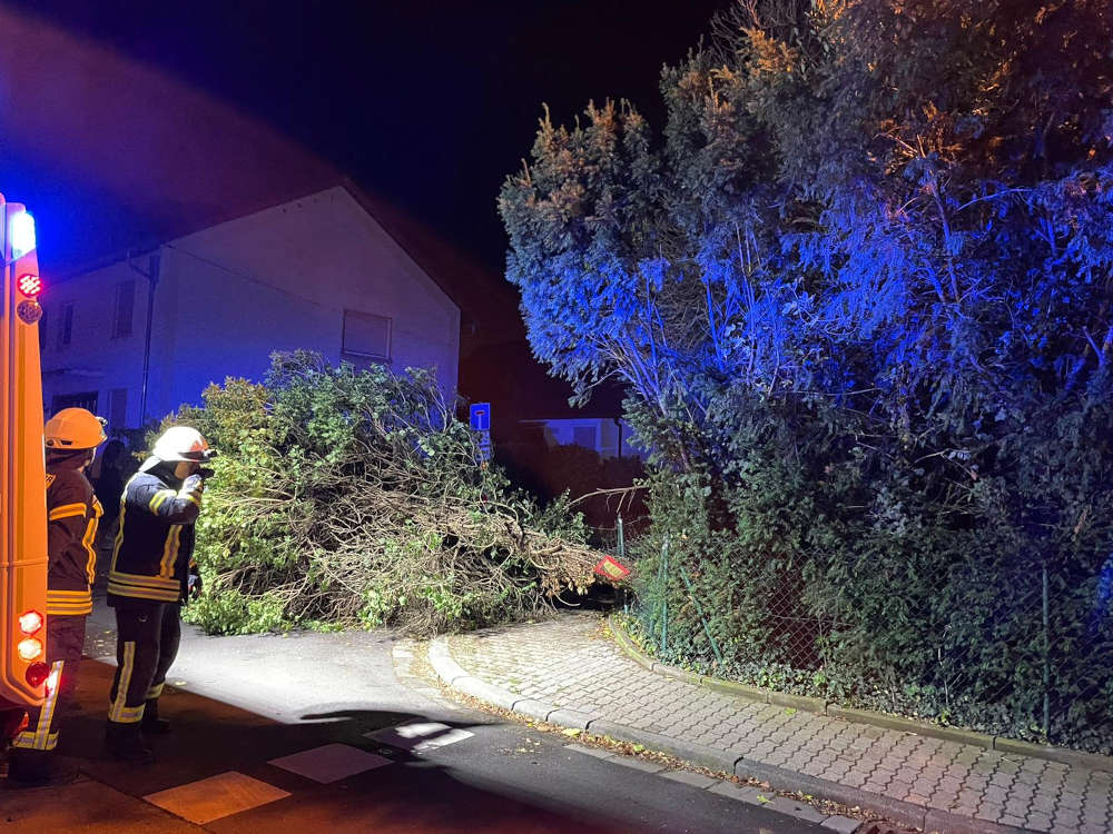 Einsatz Kreuzbergstraße in Duttweiler (Foto: Feuerwehr Neustadt)