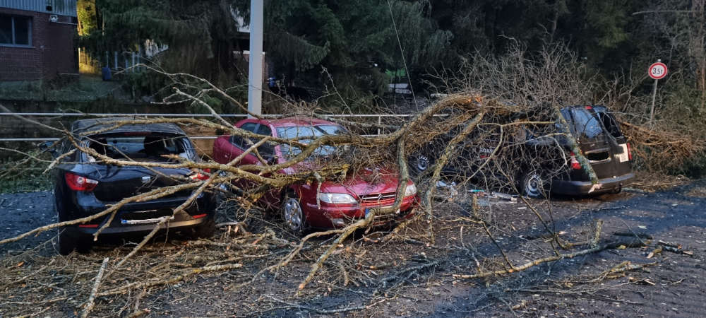 Feuerwehreinsätze wegen Sturm 