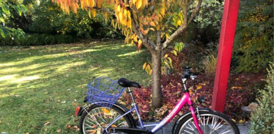 Aufgefundenes Fahrrad (Foto: Polizei RLP)