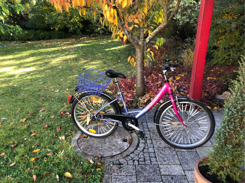 Aufgefundenes Fahrrad (Foto: Polizei RLP)