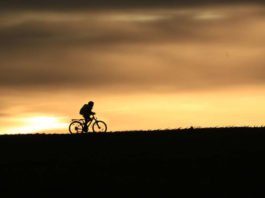 Symbolbild Fahrradfahrer (Foto: Pixabay/Monikas_Wunderwelt)