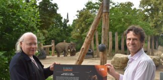 Bebilderte Hinweistafeln im Zoo, bei Bären, Löwen und Elefanten verweisen auf die eiszeitliche Verwandschaft in der Schau „Eiszeit Safari“. Übergabe der Infoschilder im Zoo: Prof. Dr. Rosendahl, Generaldirektor der Reiss-Engelhorn-Museen und Frank-Dieter Heck, kaufm. Geschäftsführer Zoo Heidelberg. (Foto: rem)