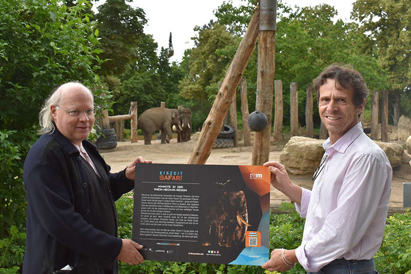 Bebilderte Hinweistafeln im Zoo, bei Bären, Löwen und Elefanten verweisen auf die eiszeitliche Verwandschaft in der Schau „Eiszeit Safari“. Übergabe der Infoschilder im Zoo: Prof. Dr. Rosendahl, Generaldirektor der Reiss-Engelhorn-Museen und Frank-Dieter Heck, kaufm. Geschäftsführer Zoo Heidelberg. (Foto: rem)