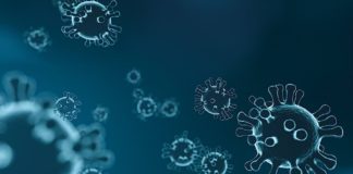 Symbolbild COVID-19 Coronavirus (Foto: Pixabay/mattthewafflecat)