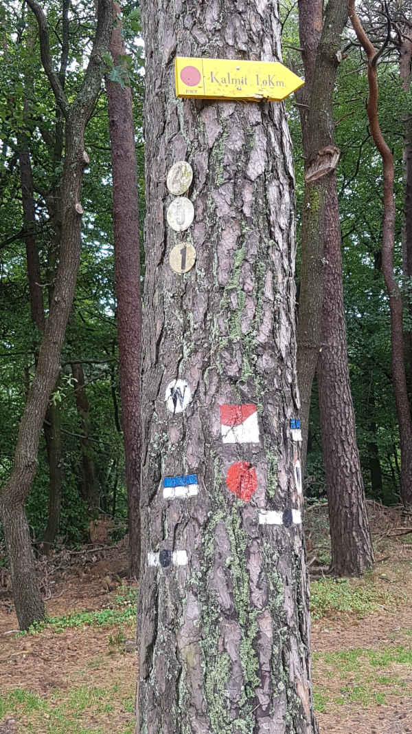 Neukonzeption des Hauptwanderwegenetzes im Pfälzerwald: Bezirksverband Pfalz kümmert sich um Abstimmung (Foto: PWV)