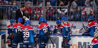 Adler Mannheim (Foto: AS Sportfoto / Sörli Binder)