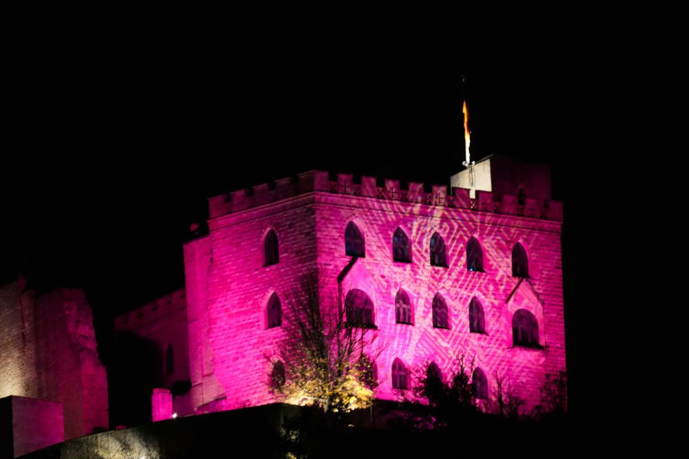 licht.atem: demokratie Hambacher Schloss Ingo Bracke (Foto: Holger Knecht)