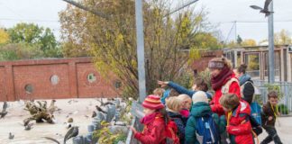 Auch an kalten Tagen ist es im Zoo spannend. Das Team der Zoo-Akademie im Zoo Heidelberg hat sich einiges einfallen lassen und ein tolles Programm für die kommende Winterzeit aufgestellt. (Foto: Zoo Heidelberg)