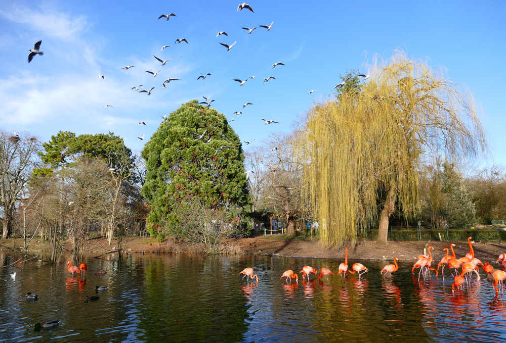 (Foto: Petra Medan/Zoo Heidelberg)