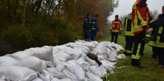 Mit 5.000 Sandsäcken fiktive Sicker- und Schadstellen am Deich gesichert (Foto: Kreisverwaltung Germersheim)