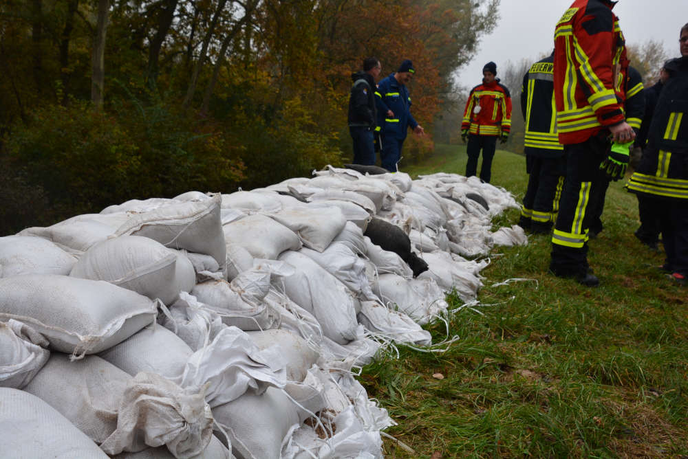 Mit 5.000 Sandsäcken fiktive Sicker- und Schadstellen am Deich gesichert (Foto: Kreisverwaltung Germersheim)