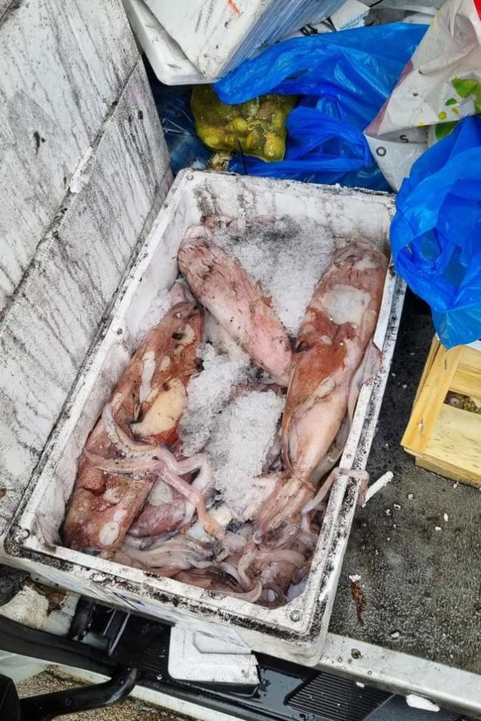 Ungekühlter Fisch