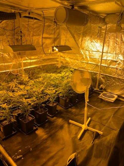 FFM_Plantage