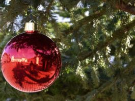 Zu einem schönen Weihnachtsfest gehört für viele Menschen ein hübsch geschmückter Christbaum einfach dazu. (Quelle: Stadt Landau)